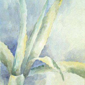 Watercolor C129-87-Pflanze-Mallorca-72dpi-1500