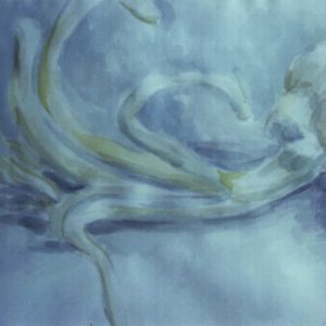 Watercolor C138-87-Zwiebel-72dpi-1500