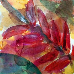 Watercolor C169-01-Rote-Pflanze-72dpi-1500