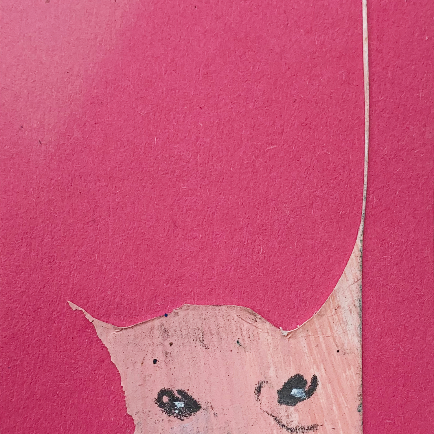 H560-23-Tierkopf-Detail H560-23-Tierkopf-Detail Annette Kunow