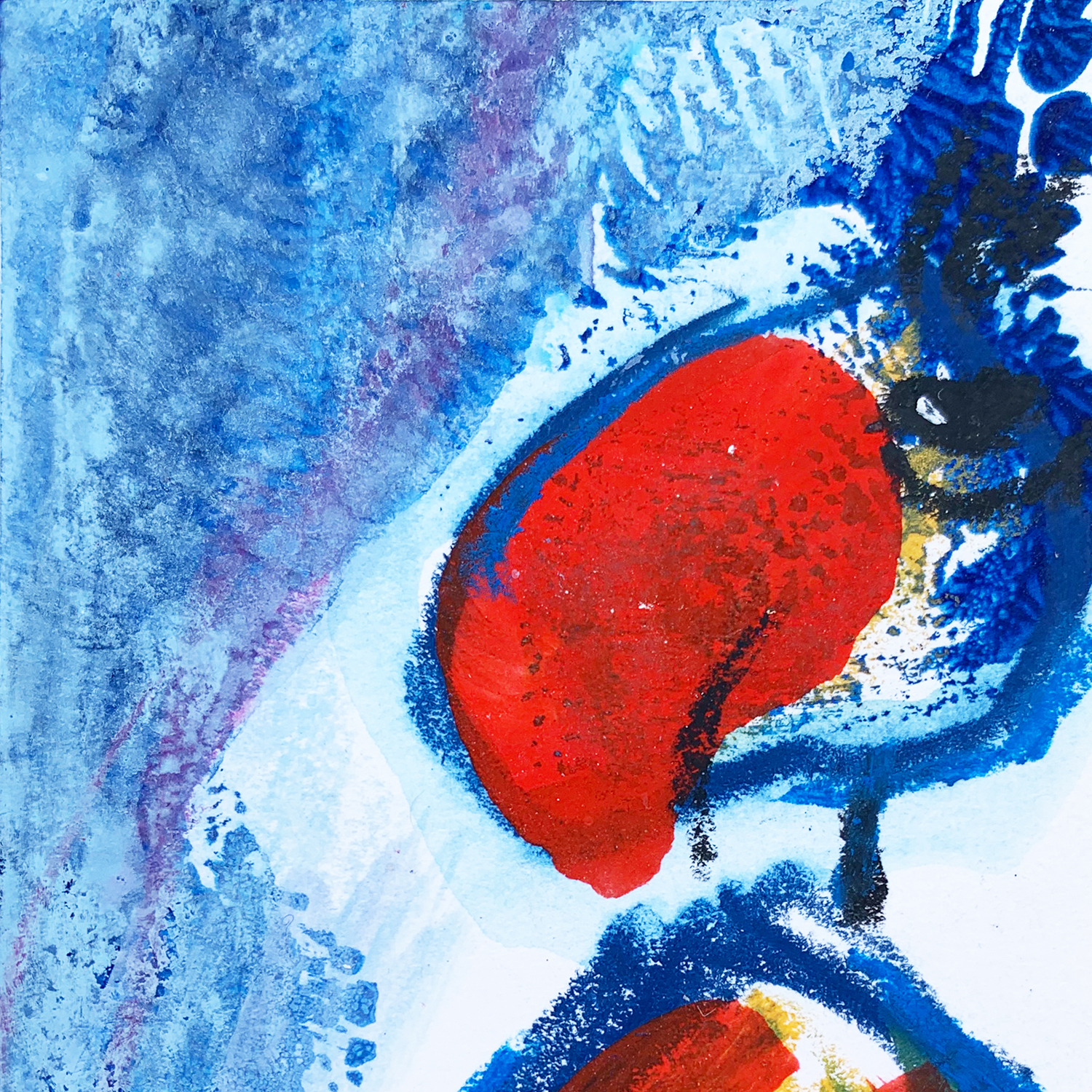 H562-23-Vogel-Detail-72dpi-1500 Annette Kunow H562-23-Vogel-Detail-72dpi-1500 Annette Kunow