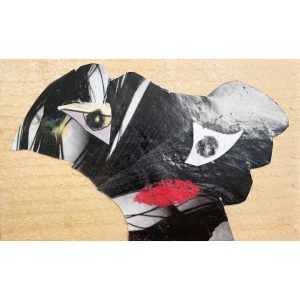 H600-23-Schwarzer-Kopf-72dpi-1500qu Annette Kunow