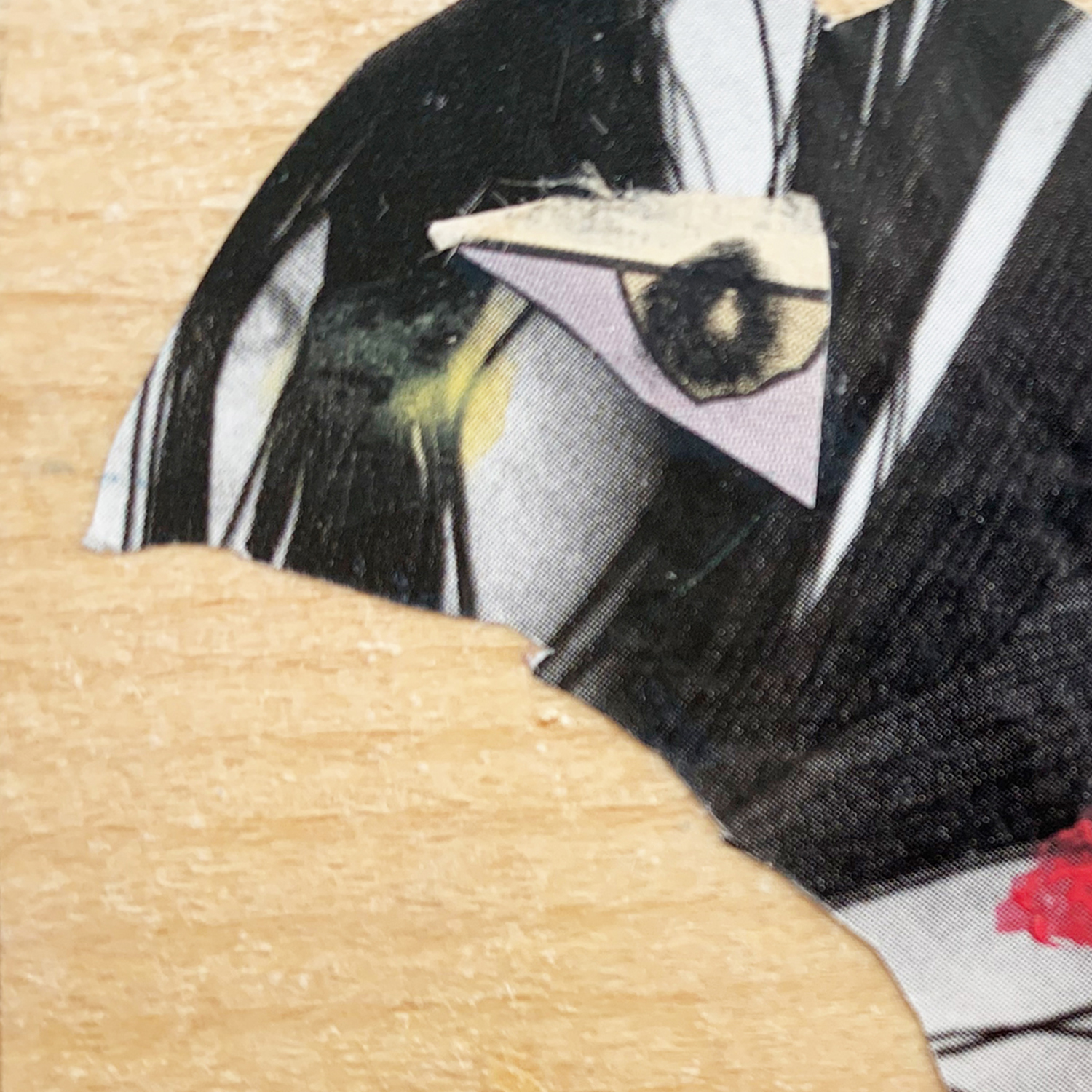 H600-23-Schwarzer-Kopf-Detail-72dpi-1500qu Annette Kunow H600-23-Schwarzer-Kopf-Detail-72dpi-1500qu Annette Kunow