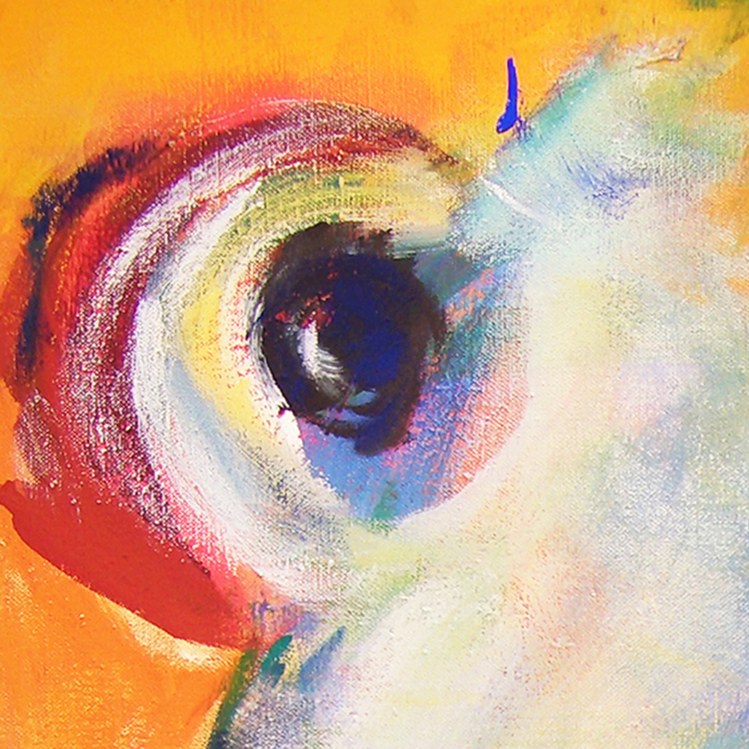 K209-04-Francis-Detail-I-72dpi-1500qu Annette Kunow K209-04-Francis-Detail-I-72dpi-1500qu Annette Kunow